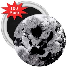 Black And White Snowballs 3  Magnets (100 Pack) by okhismakingart