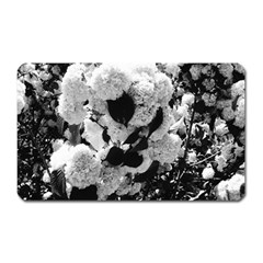 Black And White Snowballs Magnet (rectangular) by okhismakingart