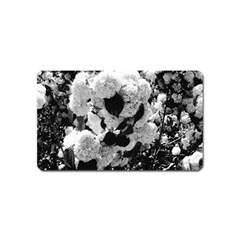 Black And White Snowballs Magnet (name Card) by okhismakingart