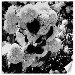 Black And White Snowballs Canvas 16  X 16  by okhismakingart