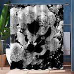 Black and White Snowballs Shower Curtain 60  x 72  (Medium)  60 x72  Curtain