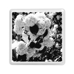 Black And White Snowballs Memory Card Reader (square) by okhismakingart