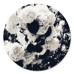 High Contrast Black And White Snowballs Magnet 5  (round) by okhismakingart