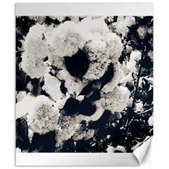 High Contrast Black And White Snowballs Canvas 20  X 24  by okhismakingart