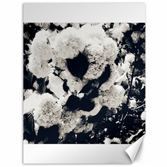 High Contrast Black And White Snowballs Canvas 36  X 48  by okhismakingart