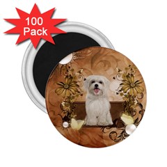 Cute Maltese Puppy With Flowers 2 25  Magnets (100 Pack)  by FantasyWorld7