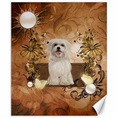 Cute Maltese Puppy With Flowers Canvas 8  X 10 