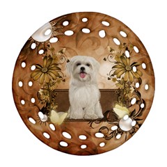 Cute Maltese Puppy With Flowers Round Filigree Ornament (two Sides) by FantasyWorld7