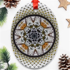 Medallion Fractal Digital Art Ornament (Oval)