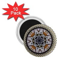 Medallion Fractal Digital Art 1.75  Magnets (10 pack) 