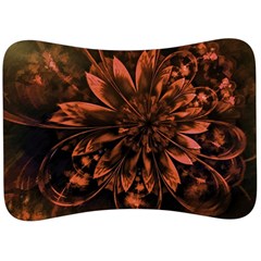 Fractal Painting Flower Texture Velour Seat Head Rest Cushion by Pakrebo