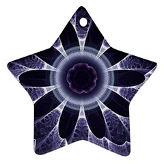 Fractal Feathers Blue Purple Star Ornament (two Sides) by Pakrebo