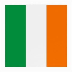 Flag Of Ireland Irish Flag Medium Glasses Cloth (2 Sides) by FlagGallery