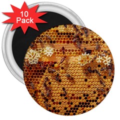 Bees Nature Animals Honeycomb 3  Magnets (10 Pack)  by Pakrebo