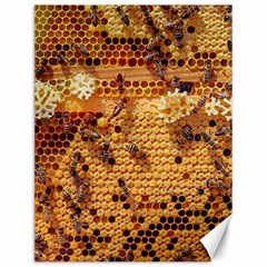 Bees Nature Animals Honeycomb Canvas 12  X 16  by Pakrebo