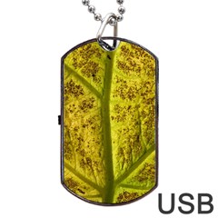 Leaf Structure Texture Background Dog Tag USB Flash (Two Sides)