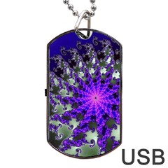 Fractal Rendering Digital Art Dog Tag Usb Flash (two Sides) by Pakrebo