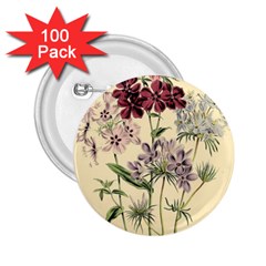 Botanical Print Antique Flora Plant 2 25  Buttons (100 Pack)  by Pakrebo