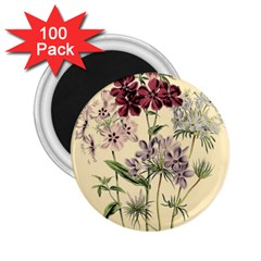 Botanical Print Antique Flora Plant 2 25  Magnets (100 Pack)  by Pakrebo