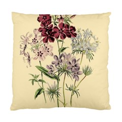 Botanical Print Antique Flora Plant Standard Cushion Case (two Sides) by Pakrebo