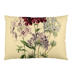 Botanical Print Antique Flora Plant Pillow Case by Pakrebo