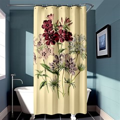 Botanical Print Antique Flora Plant Shower Curtain 36  X 72  (stall)  by Pakrebo