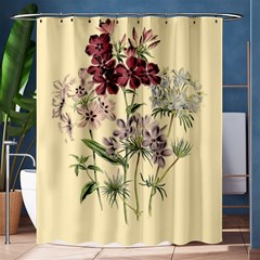 Botanical Print Antique Flora Plant Shower Curtain 60  X 72  (medium)  by Pakrebo