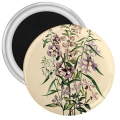 Botanical Print Antique Natural 3  Magnets by Pakrebo