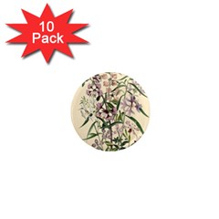 Botanical Print Antique Natural 1  Mini Magnet (10 Pack)  by Pakrebo