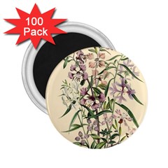 Botanical Print Antique Natural 2 25  Magnets (100 Pack)  by Pakrebo