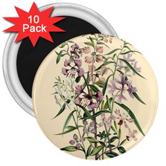 Botanical Print Antique Natural 3  Magnets (10 Pack)  by Pakrebo