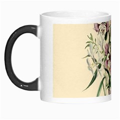 Botanical Print Antique Natural Morph Mugs by Pakrebo