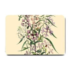 Botanical Print Antique Natural Small Doormat  by Pakrebo