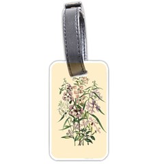 Botanical Print Antique Natural Luggage Tag (one Side) by Pakrebo