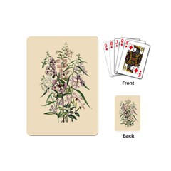 Botanical Print Antique Natural Playing Cards Single Design (mini) by Pakrebo