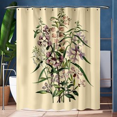 Botanical Print Antique Natural Shower Curtain 60  X 72  (medium)  by Pakrebo