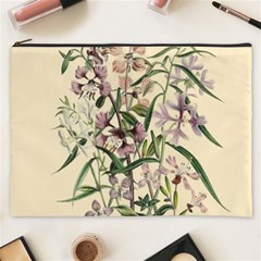 Botanical Print Antique Natural Cosmetic Bag (xxxl) by Pakrebo