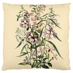 Botanical Print Antique Natural Large Flano Cushion Case (one Side) by Pakrebo