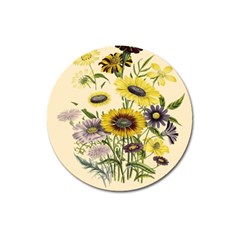 Botanical Print Antique Flora Magnet 3  (round) by Pakrebo