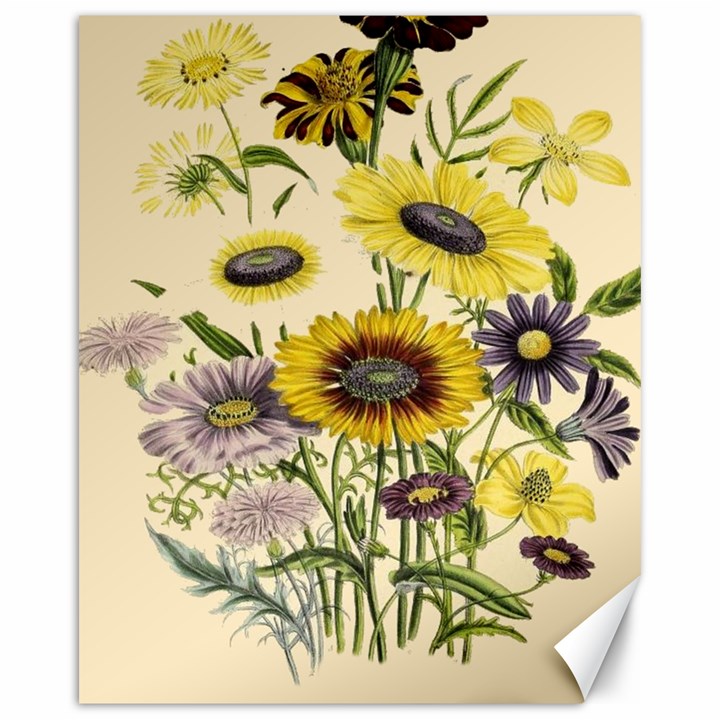 Botanical Print Antique Flora Canvas 16  x 20 