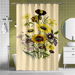 Botanical Print Antique Flora Shower Curtain 48  X 72  (small)  by Pakrebo