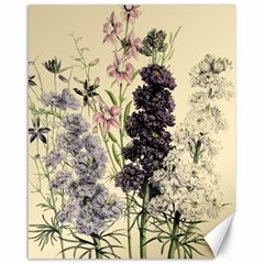 Botanical Print Antique Floral Canvas 16  X 20  by Pakrebo