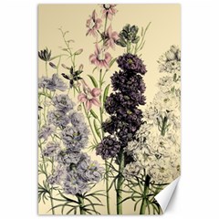 Botanical Print Antique Floral Canvas 20  X 30  by Pakrebo