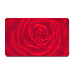 Roses Red Love Magnet (rectangular) by HermanTelo