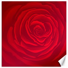 Roses Red Love Canvas 12  X 12 