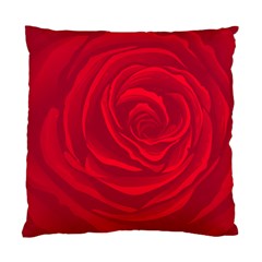 Roses Red Love Standard Cushion Case (two Sides) by HermanTelo