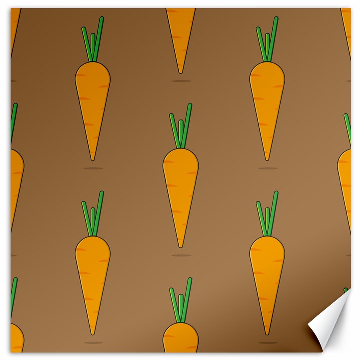 Healthy Fresh Carrot Canvas 20  x 20 