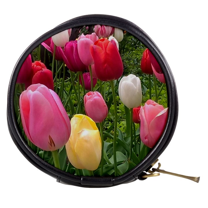 Home Chicago Tulips Mini Makeup Bag