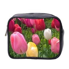 Home Chicago Tulips Mini Toiletries Bag (two Sides) by bloomingvinedesign