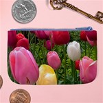 Home Chicago Tulips Large Coin Purse Back